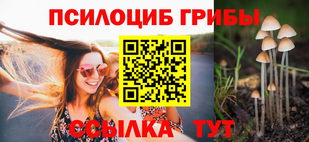 Уварово  Псилоцибиновые грибы Psilocybine cubensis  Вход с VPN 